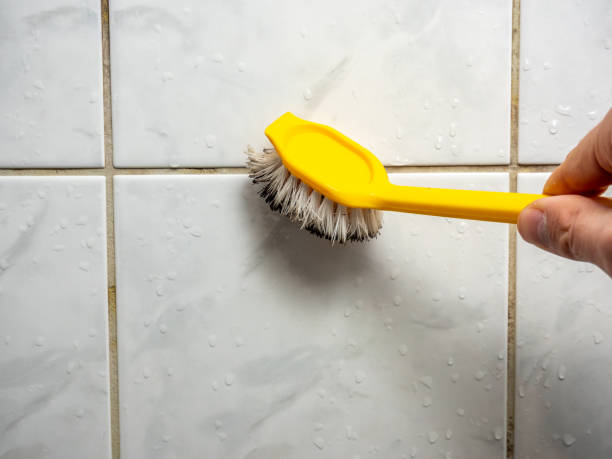 Best Mold Removal Specialists  in Lambertville, MI