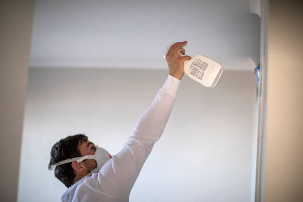 Best Mold Removal Near Me  in Lambertville, MI