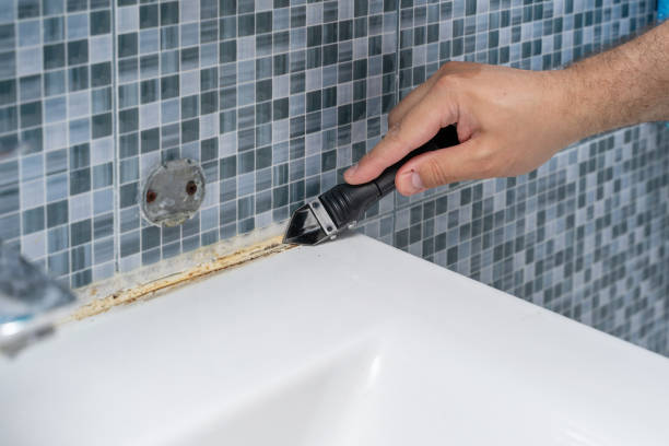 Best Mold Damage Repair  in Lambertville, MI