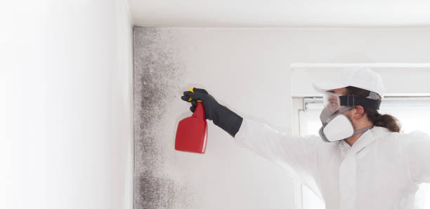 Crawl Space Mold Removal in Lambertville, MI
